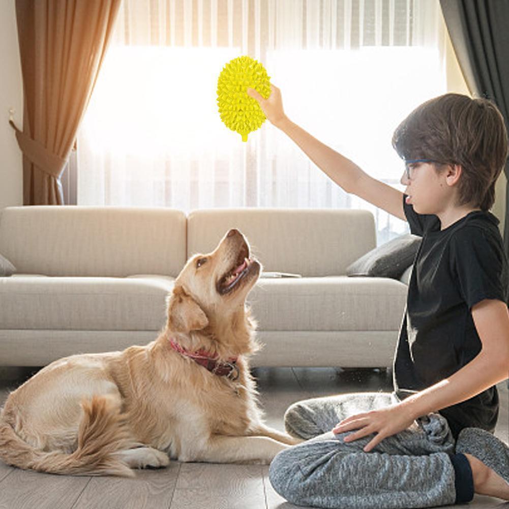 Fantastic Bite Resistant Dog toys