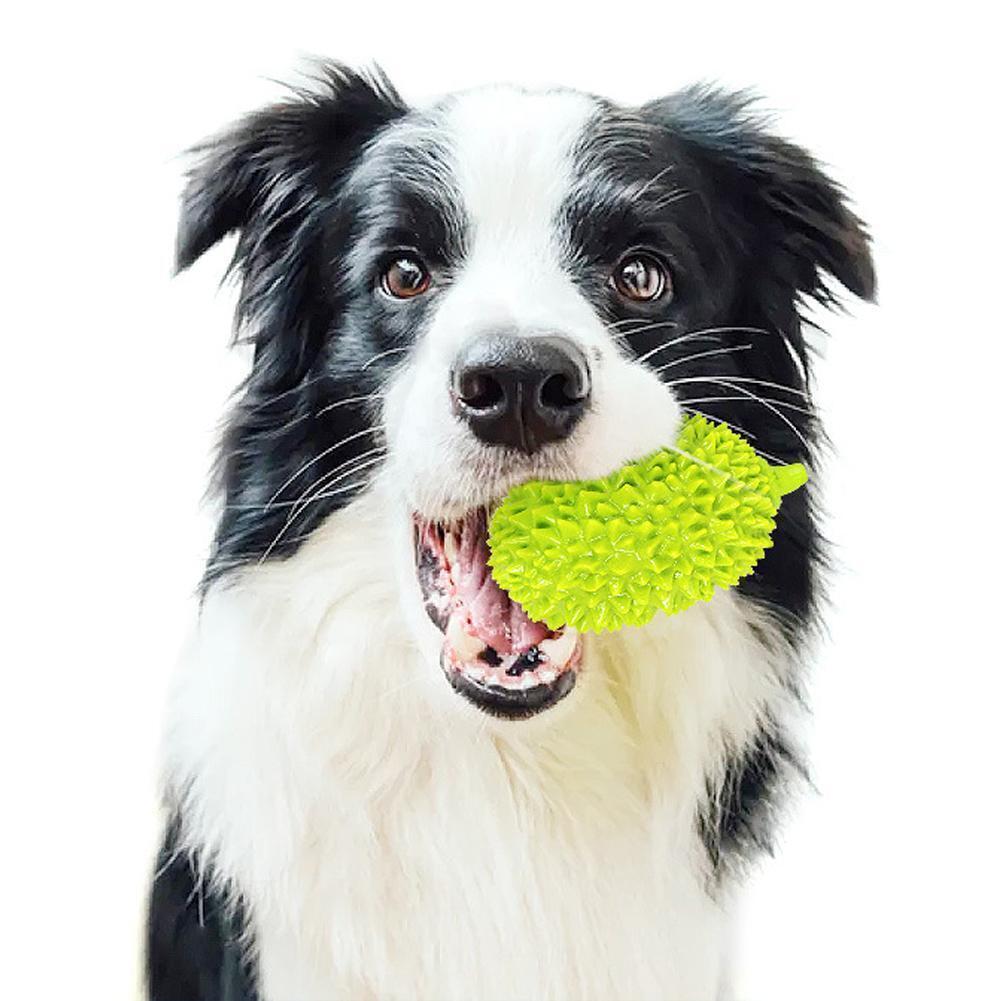 Fantastic Bite Resistant Dog toys