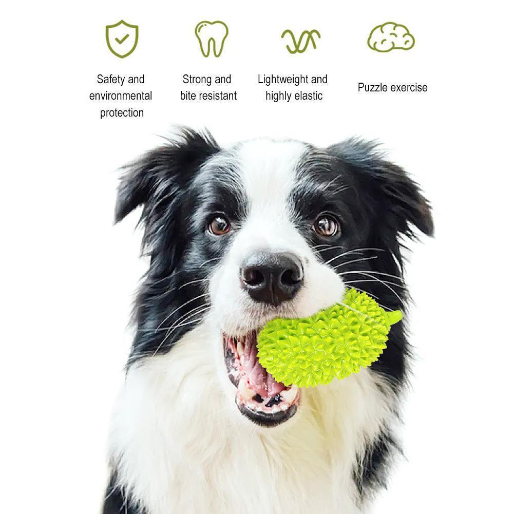 Fantastic Bite Resistant Dog toys
